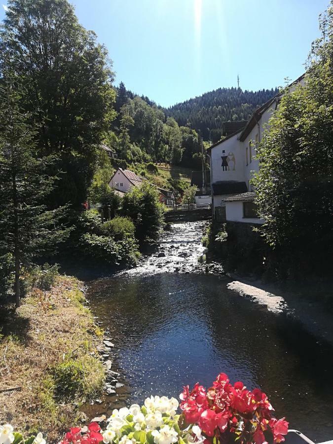Ferienwohnung Zur Alten Post Бад-Ґрунд Екстер'єр фото