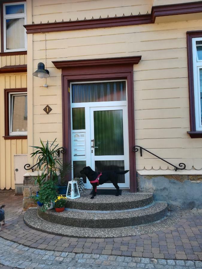 Ferienwohnung Zur Alten Post Бад-Ґрунд Екстер'єр фото
